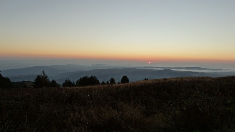 Почистване и маркиране на пътеки в западна Витоша