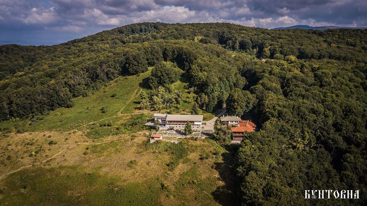 Коледно парти на ТД Боерица 14.12.2019г