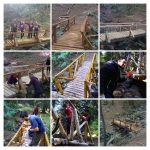 Доброволческа акция с AIG