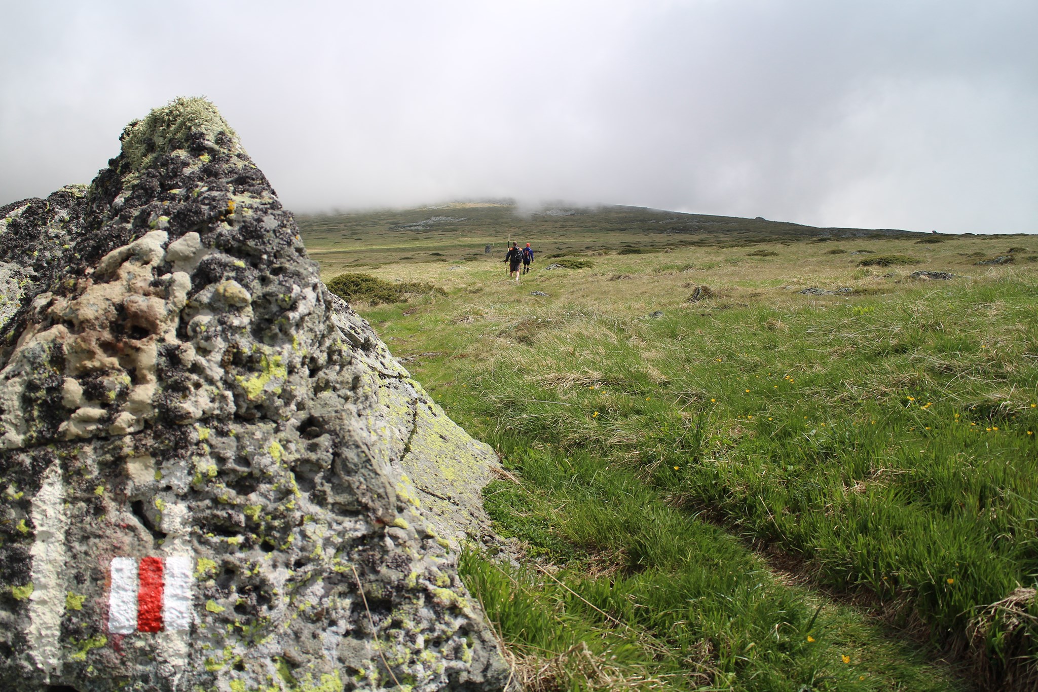Практическо обучение по изграждане на лятна маркировка