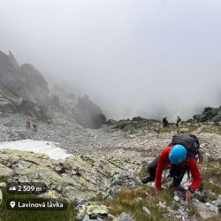 357803368_577618901203888_1750637972523314452_n